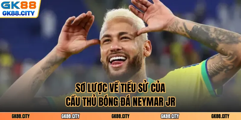 Sơ lược về tiểu sử của cầu thủ bóng đá Neymar Jr